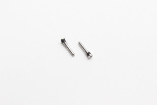 Нижние винты 2шт для iPhone X, 11, 12, 13, 14, 15, 16, белый (White Titanium)