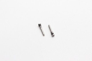 Нижние винты 2шт для iPhone X, 11, 12, 13, 14, 15, 16, титан (Natural Titanium)